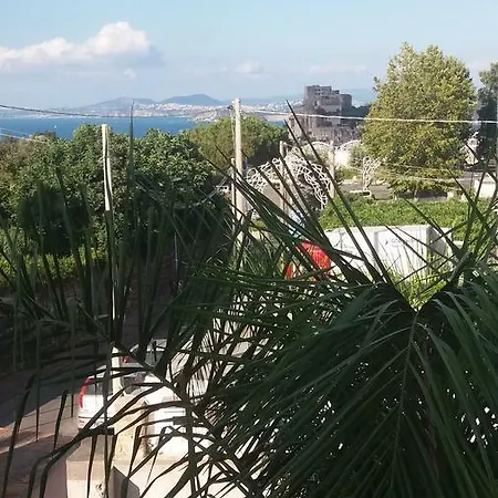 Casal San Domenico Ischia